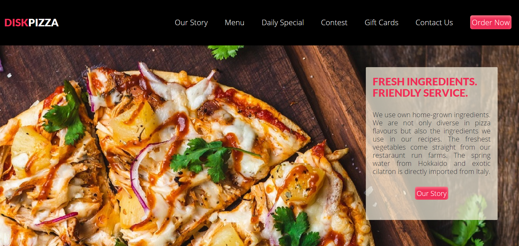 home page snapshot of Disk Pizza project website