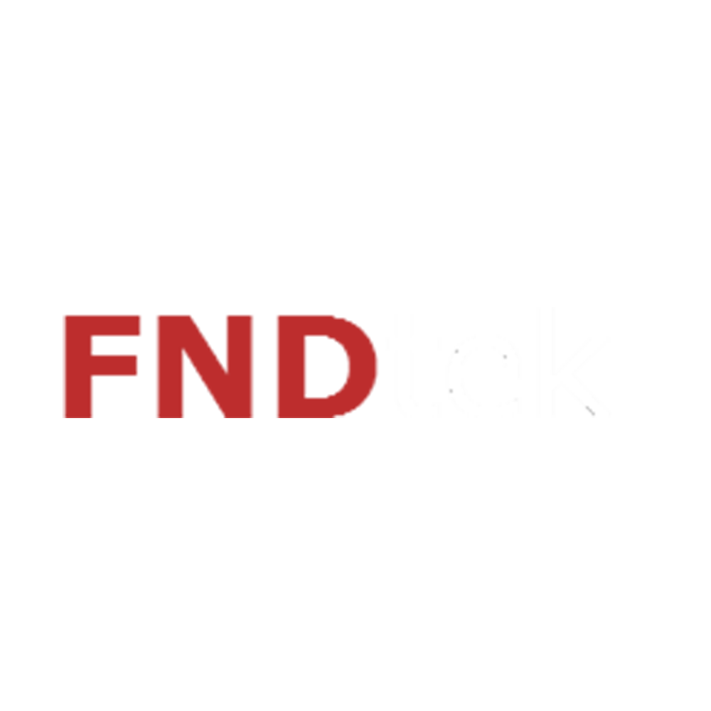 logo of fndtek company